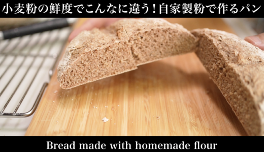 小麦の鮮度はパンにどんな影響かあるのか比較してみた。